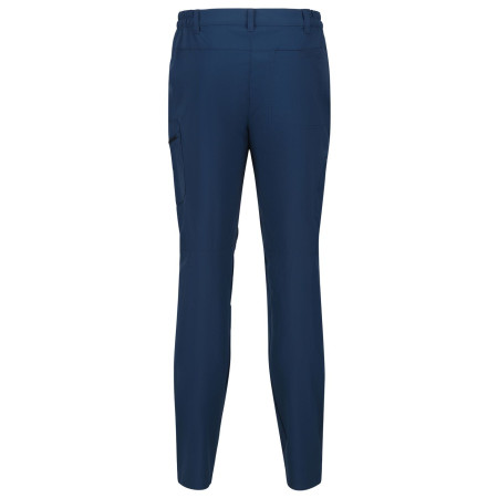 Pantalon homme Regatta Highton Trs