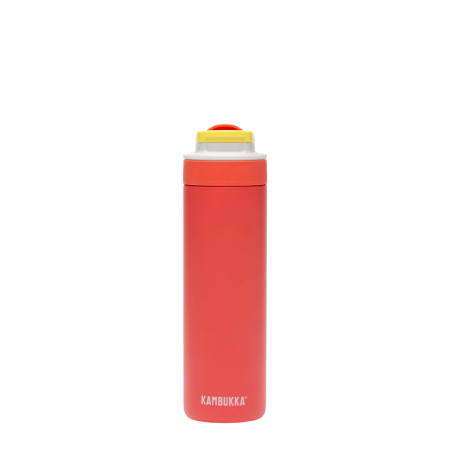 Gourde isotherme en acier inoxydable Kambukka Lagoon insulated 600 ml