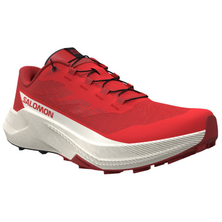 Chaussures homme Salomon Pulsar
