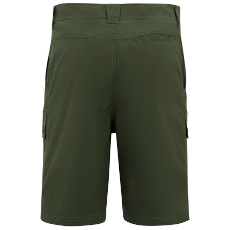 Shorts homme Regatta Arlery Shorts
