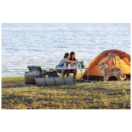 Réfrigérateur camping EcoFlow Classic 55 l