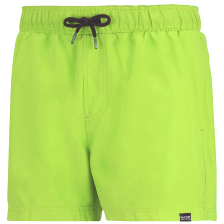Maillot de bain homme Regatta Mawson Swim Shorts III