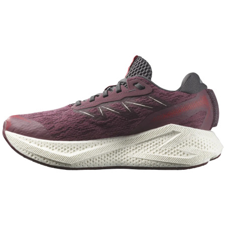 Chaussures running femme Salomon Aero Glide 4