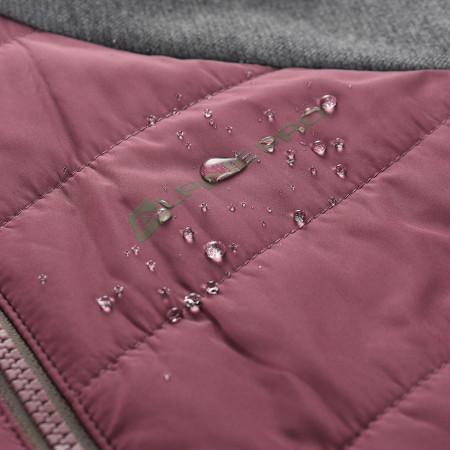 Veste polaire fonctionnelle femme Alpine Pro Jorwa 2