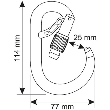 Mousqueton Camp Core Belay Lock