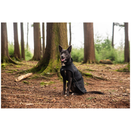 Imperméable pour chien Mountain Paws Fleece-Lined Dog Raincoat