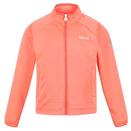 Sweatshirt enfant Regatta Jnr Highton LteII