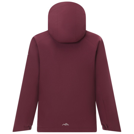 Veste d'hiver fille Regatta Girls Trekktain 3-in-1 II FigPowLilac