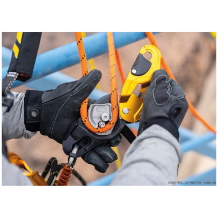 Frein Petzl Rig