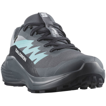 Chaussures femme Salomon Alphaglide Gore-Tex