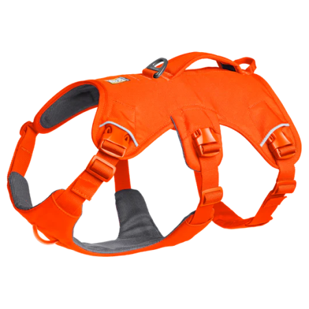 Harnais pour chien Ruffwear Web Master™ Harness