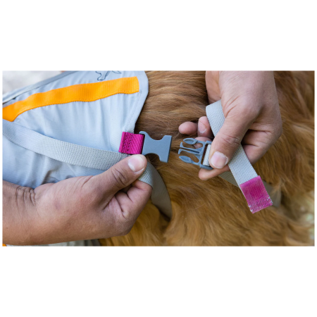 Harnais pour chien Ruffwear BackTrak™ Dog Evacuation Kit
