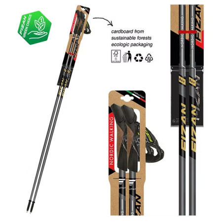 Bâtons de marche nordique Fizan NW Runner