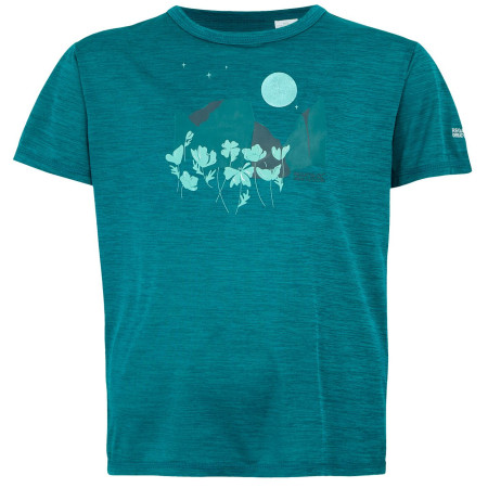 T-shirt enfant Regatta Alvarado IX bleu ExotPlumeMrl
