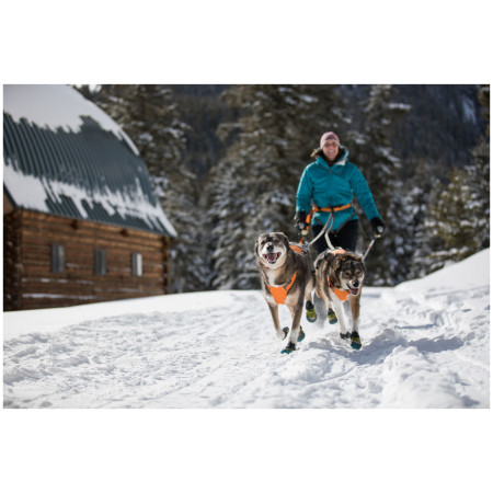 Harnais pour chien Ruffwear Omnijore Joring System