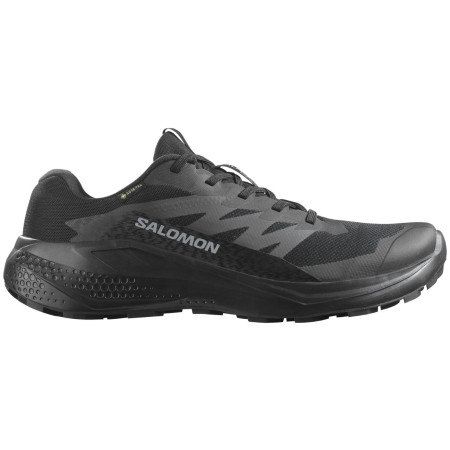 Chaussures homme Salomon Alphaglide Gore-Tex