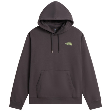 Sweat-shirt homme The North Face U Nse Slopes Relaxed Hoodie - Graphic gris ANTHRACITE GREY