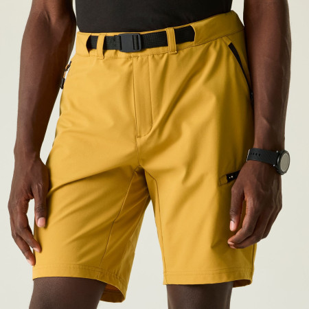 Shorts homme Dare 2b Tuned In Pro II Short