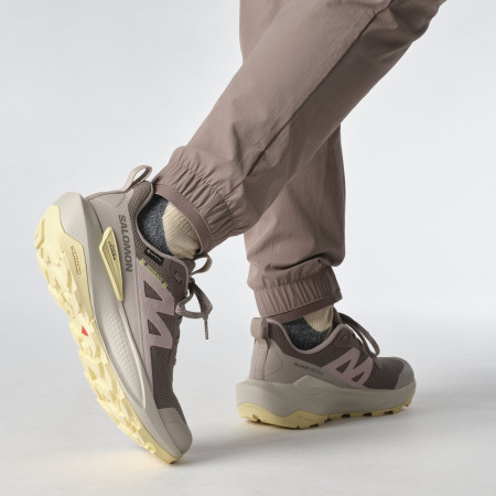 Chaussures randonnée femme Salomon Elixir Activ Gore-Tex