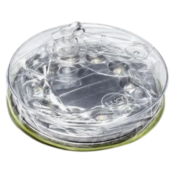 Lampe de poche LED MPOWERD Luci Outdoor