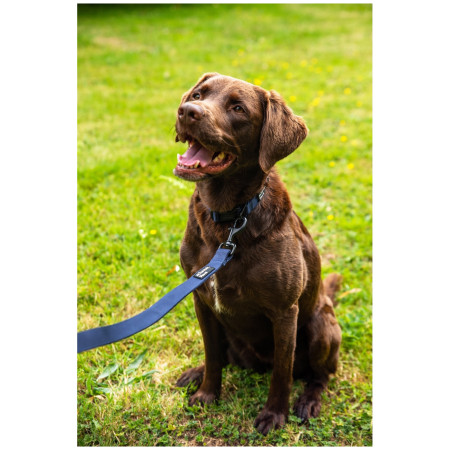 Laisse pour chien Mountain Paws Extra Tough Dog Lead