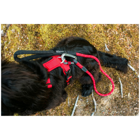 Harnais pour chien Mountain Paws Dog Harness
