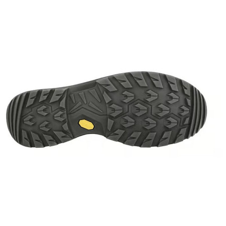 Chaussures homme Lowa Renegade Evo Gtx Mid