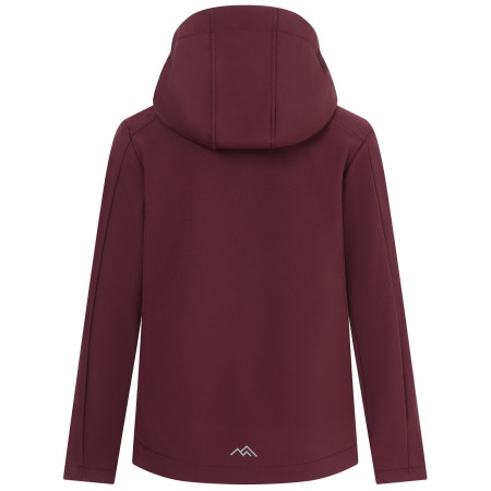 Veste softshell enfant Regatta Haydenbury Fig