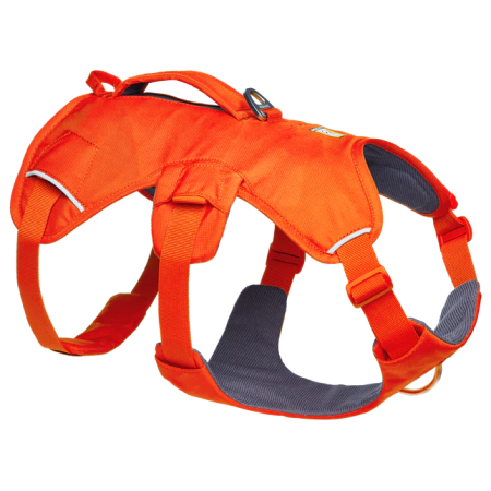 Harnais pour chien Ruffwear Web Master™ Harness orange Blaze Orange