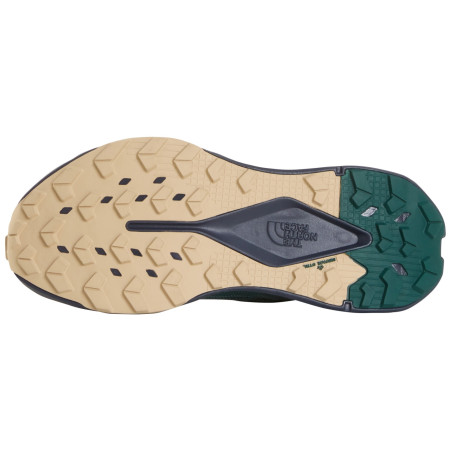 Chaussures de running hommes The North Face M Altamesa 300 V2