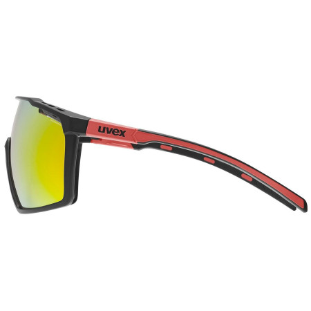 Lunettes Uvex MTN PERFORM