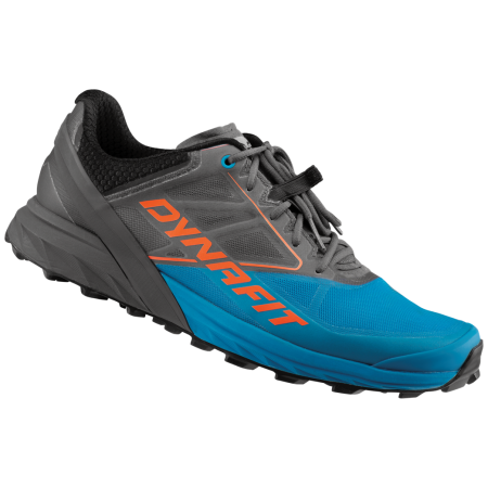 Chaussures de running hommes Dynafit Alpine bleu / gris Magnet/Frost