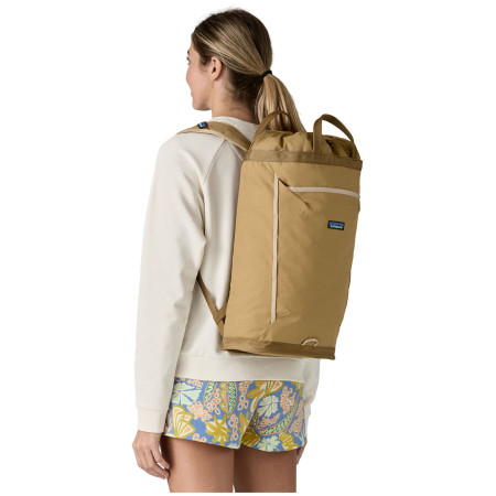 Sac à dos Patagonia Fieldsmith Linked Pack 24L