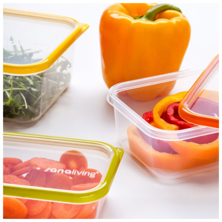 Boîte aliments Omada Sanaliving Box Set 3x 24x16,5x5cm/1L