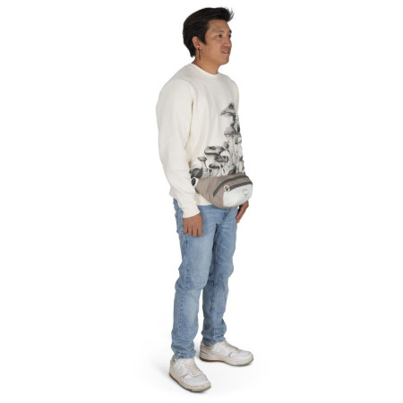 Sac banane Osprey Daylite Waist Pack