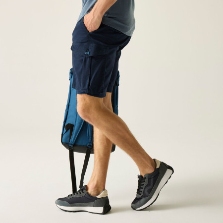 Shorts homme Regatta Bendrick Shorts