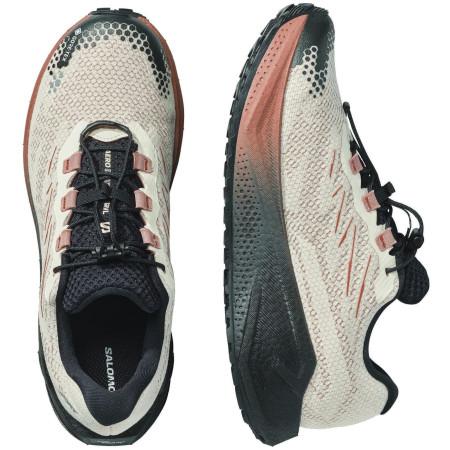 Chaussures homme Salomon Aero Blaze 4 Grvl Gtx