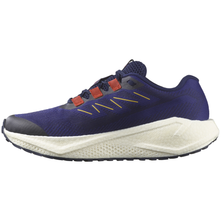 Chaussures de running hommes Salomon Aero Blaze 3 Grvl