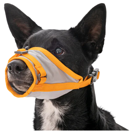 Harnais pour chien Ruffwear BackTrak™ Dog Evacuation Kit