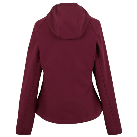 Veste femme Regatta Wmns Arec III