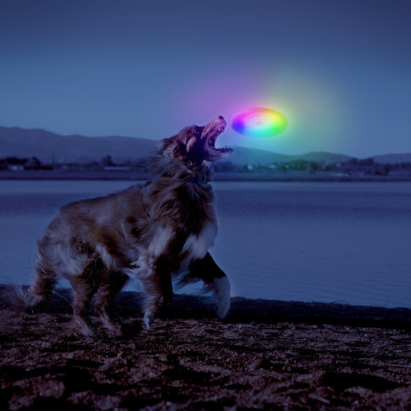 Jouet pour chien Nite Ize Flashflight® Dog Discuit™ LED Flying Disc