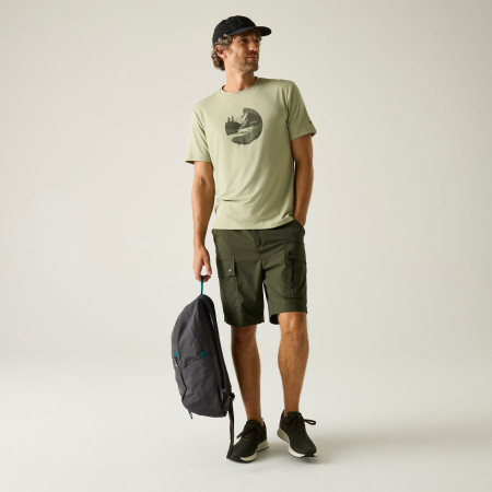 Shorts homme Regatta Arlery Shorts