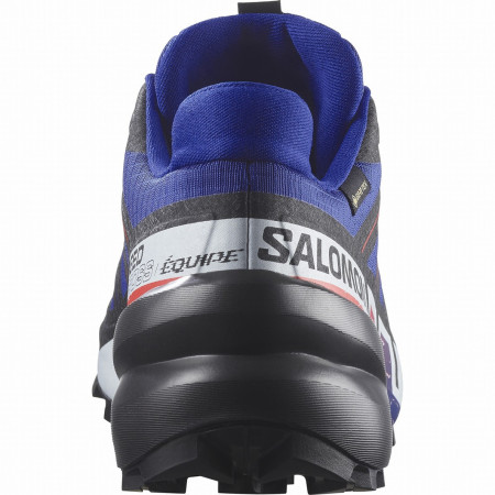 Chaussures homme Salomon Speedcross 6 Gore-Tex Equipe