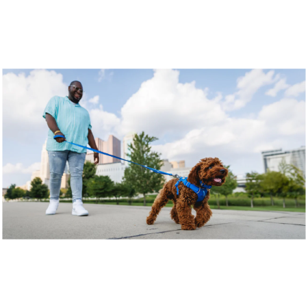 Laisse pour chien Ruffwear Front Range™ Leash