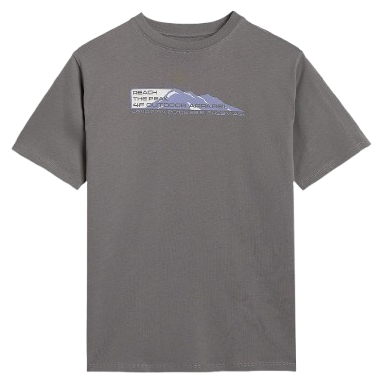 T-shirt enfant 4F Tshirt M2409 gris MIDDLE GREY