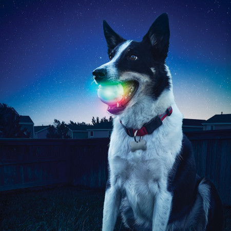 Jouet pour chien Nite Ize Glowstreak LED Ball
