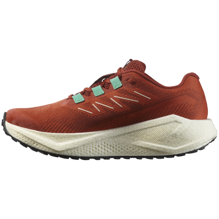 Chaussures running femme Salomon Aero Blaze 3 Grvl