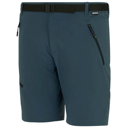 Shorts homme Regatta Xert Stretch Shorts