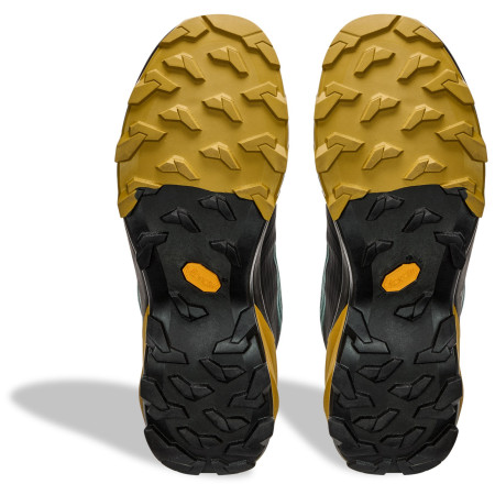 Chaussures de trekking homme Dynafit Transalper 2