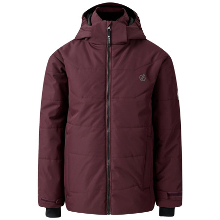 Veste d'hiver enfants Dare 2b Explorer Jacket violet Fig